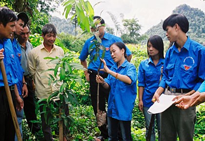 Bố trí công tác ngay cho trí thức trẻ Đề án 500