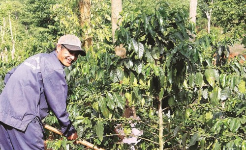 "Đất lửa" hồi sinh