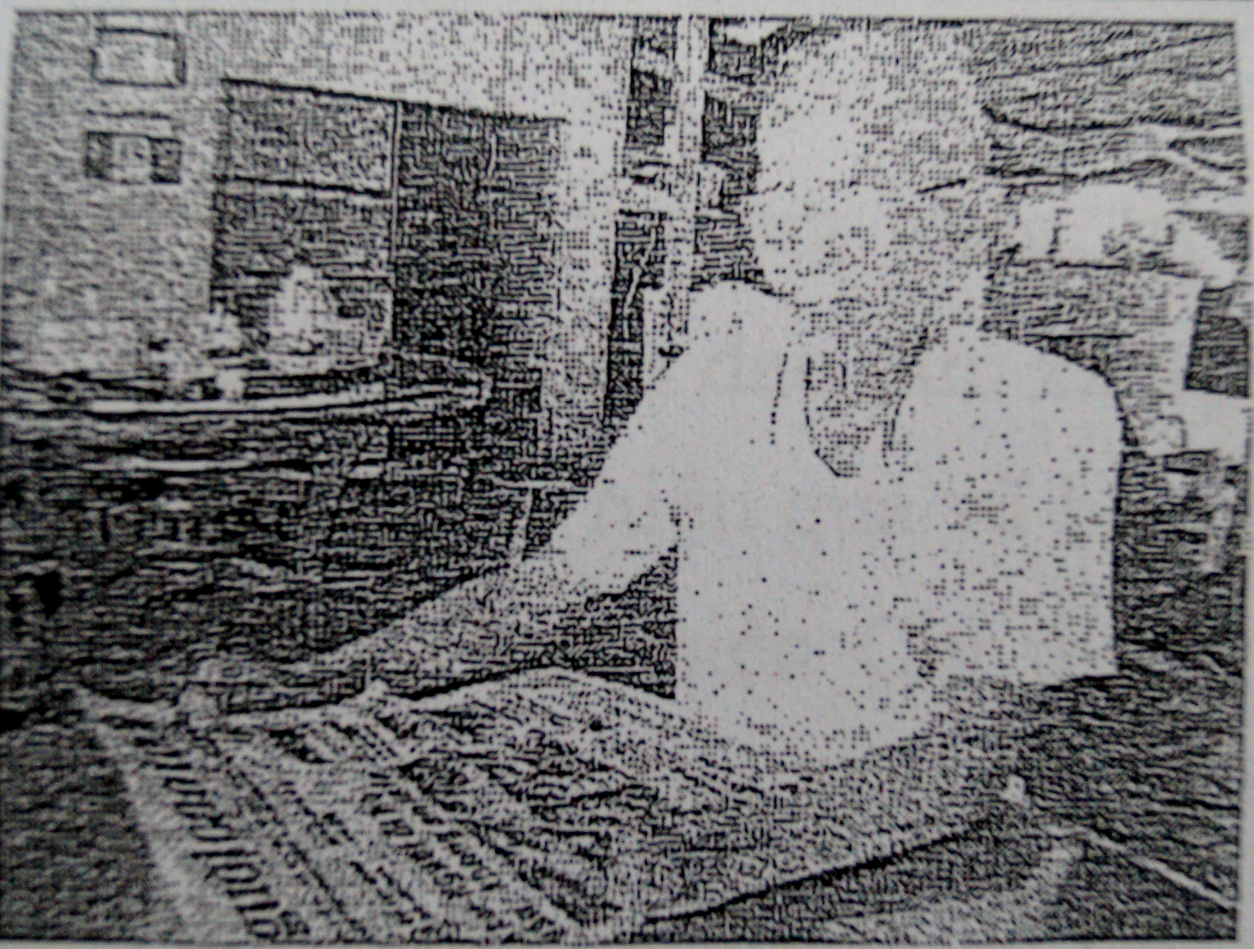 Tuổi cao gương sáng