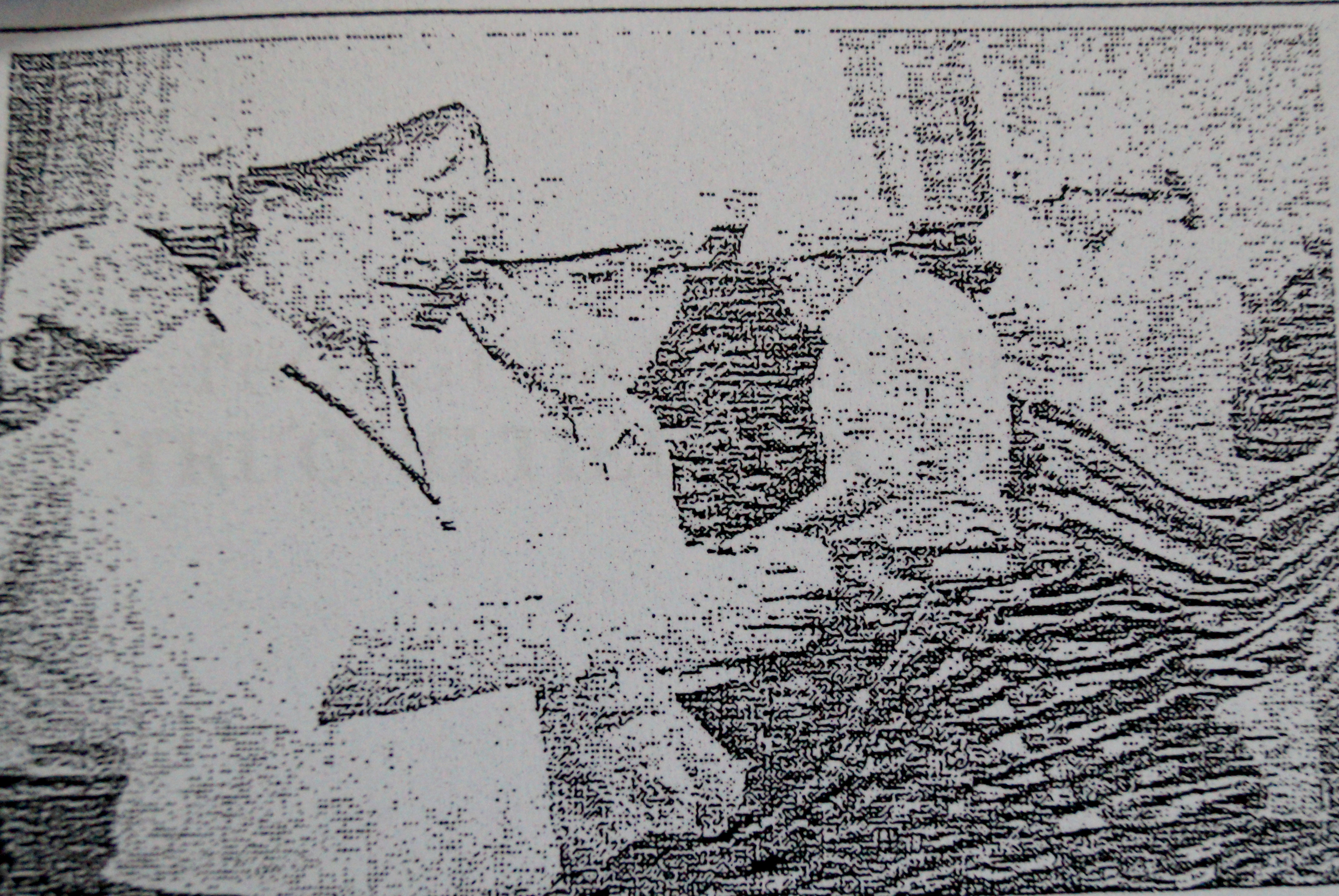 "Cô ong thợ cần mẫn"