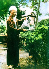 Hải Châu làm theo Bác