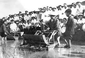 Hiệu quả từ phong trào Học tập và làm theo tấm gương đạo đức Hồ Chí Minh tại phường  Ea Tam, thành phố Buôn Ma Thuột 