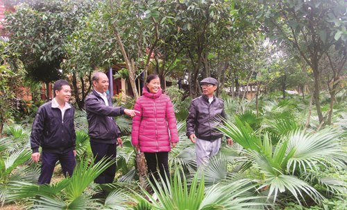 Nhen lửa tín dụng, thắp sáng thương yêu