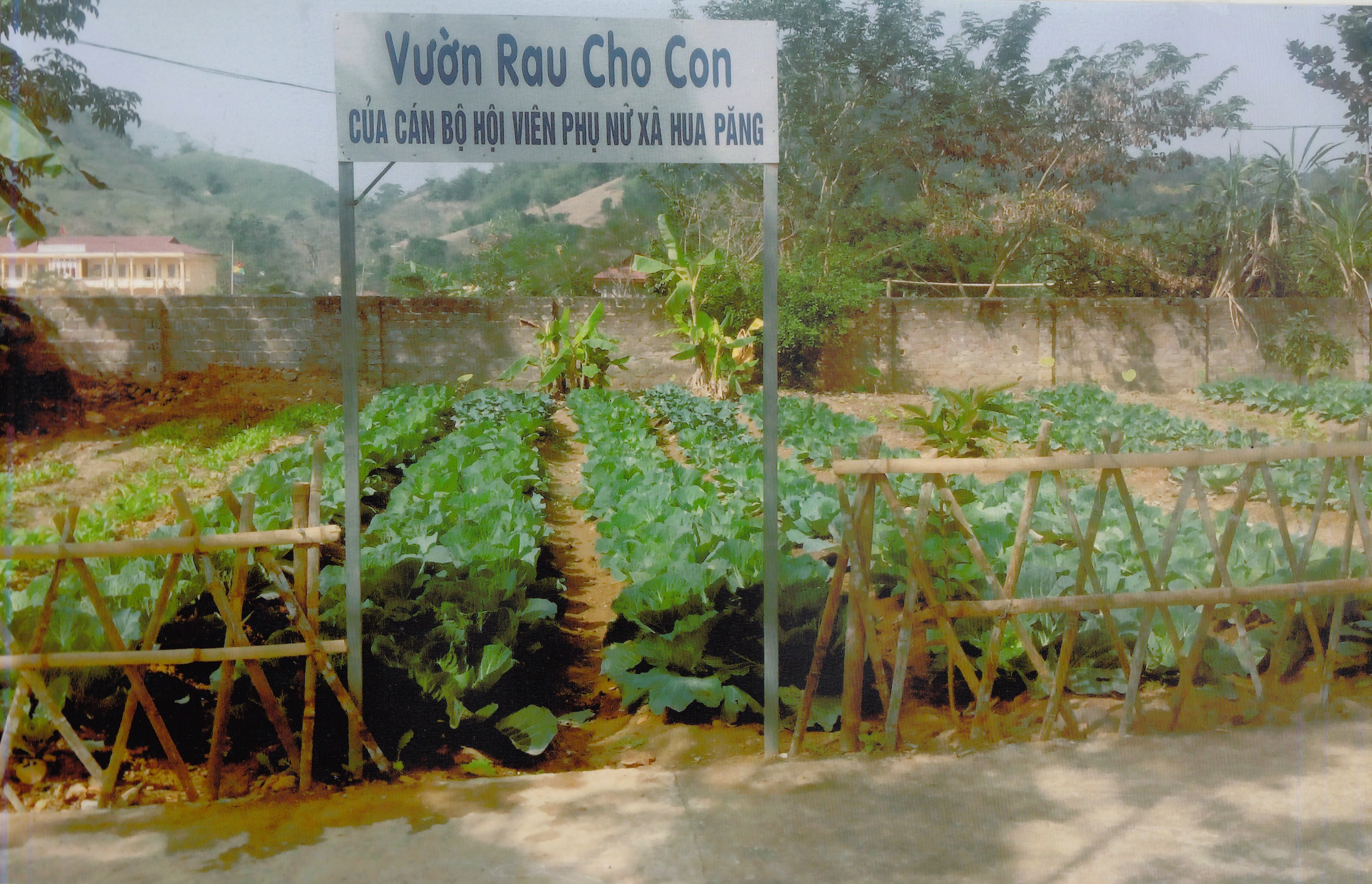 Thành tích về việc “Học tập và làm theo tấm gương đạo đức Hồ Chí Minh” tại Hội Liên hiệp Phụ nữ huyện Mộc Châu, Tỉnh Sơn La
