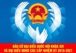 Tăng cường đảm bảo an toàn thông tin trong thời gian bầu cử