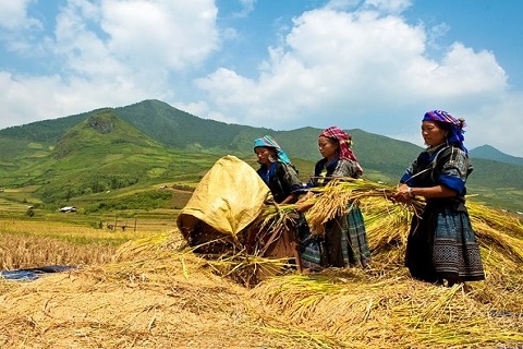 Quảng Ninh: Một số định hướng lớn về công tác dân tộc trong thời gian tới