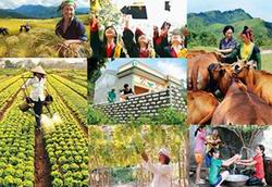 Đầu tư 21 Chương trình mục tiêu giai đoạn 2016-2020