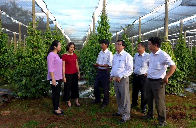 Kiểm tra Chương trình mục tiêu quốc gia xây dựng nông thôn mới tại tỉnh Gia Lai