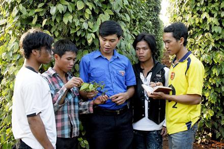 Quy định chính sách thu hút, tạo nguồn cán bộ trẻ