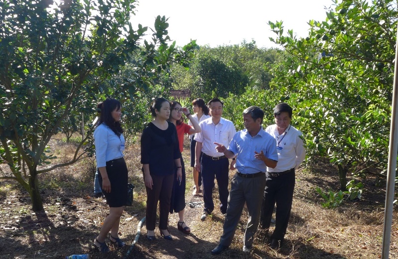Kiểm tra Chương trình Mục tiêu quốc gia xây dựng Nông thôn mới tại tỉnh Bình Phước