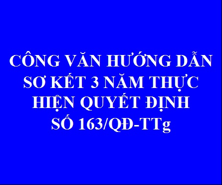 Hướng dẫn sơ kết 03 năm thực hiện Quyết định số 163/QĐ-TTg của Thủ tướng Chính phủ