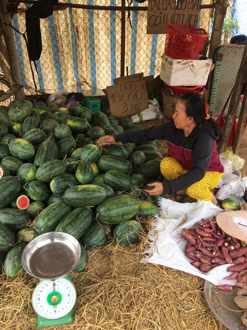 Tây Ninh: Hội viên phụ nữ sử dụng vốn khởi nghiệp hiệu quả