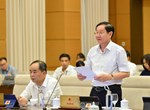Tạo hành lang pháp lý để thanh niên phát huy sức trẻ