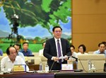 Tham nhũng “vặt” như những tổ mối nhỏ có thể làm vỡ “con đê hùng vĩ”