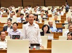 Quốc hội tranh luận thế nào là người có tài năng