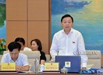 “Bộ trưởng, Chủ tịch tỉnh không nên là đại biểu Quốc hội”