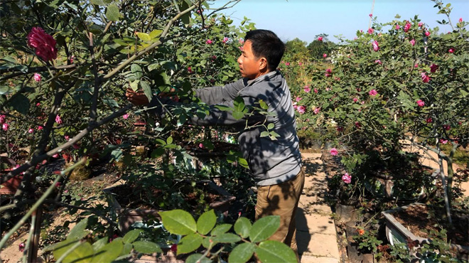 Thành phố Yên Bái: Nông thôn mới thành hiện thực