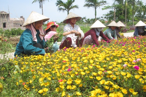 Nam Định: Hơn 96% người dân hài lòng về kết quả xây dựng nông thôn mới