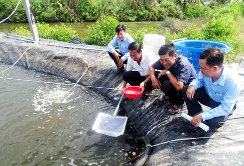 Cà Mau: Xã Hòa Thành đạt 19 tiêu chí xây dựng nông thôn mới