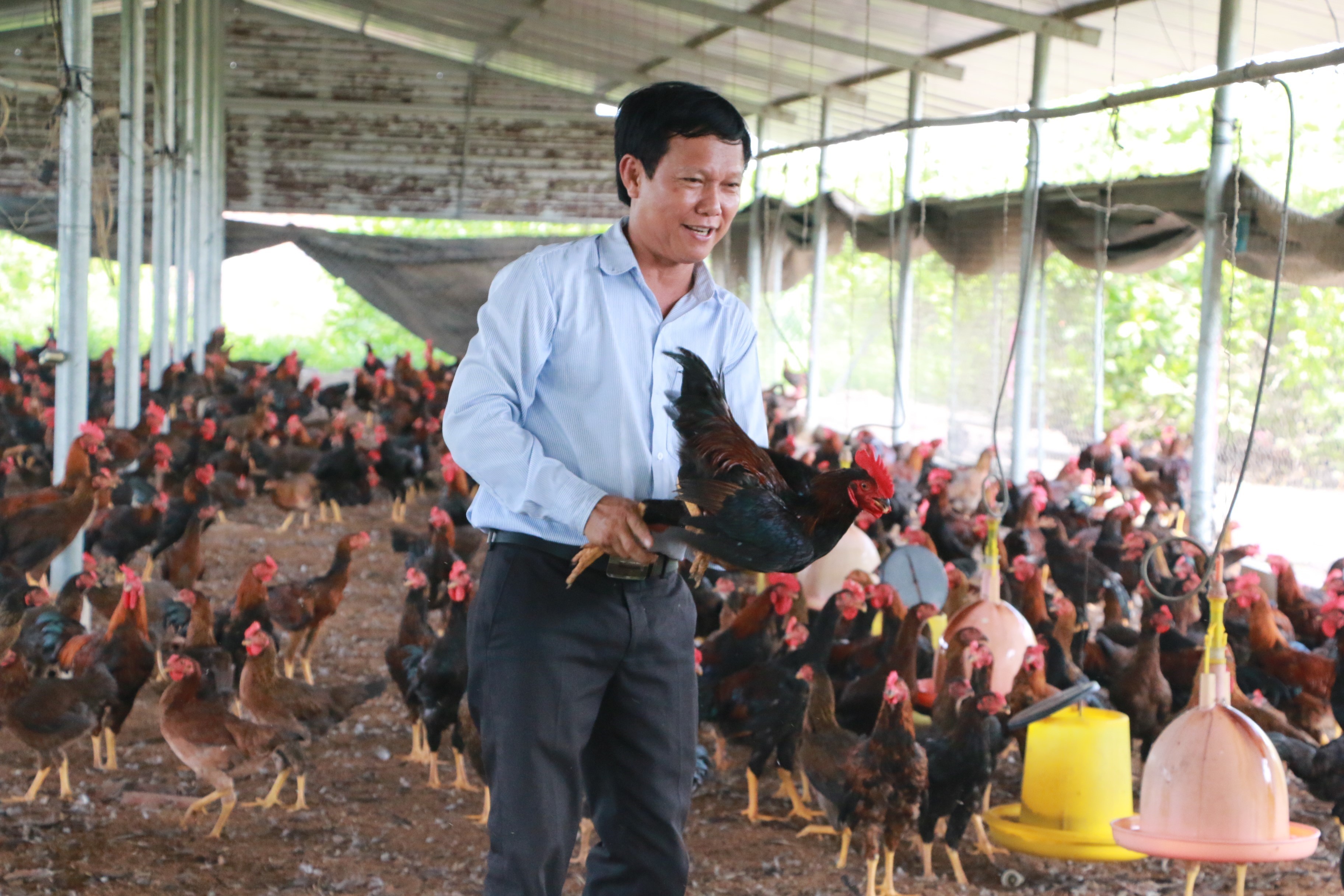 Mười năm xây dựng nông thôn mới ở tỉnh Bình Phước: Thành tựu và bài học kinh nghiệm