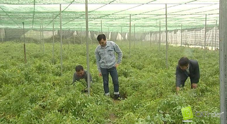 Hà Giang: Xín Mần có nhiều khởi sắc từ chương trình xây dựng Nông thôn mới