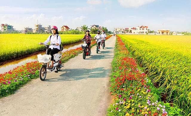 Hải Hậu (Nam Định): Kết quả bước đầu triển khai xây dựng thí điểm huyện nông thôn mới kiểu mẫu về “Sáng, xanh, sạch, đẹp”