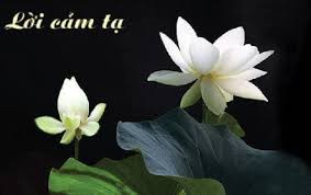  LỜI CẢM ƠN