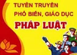 Tuyên truyền, phổ biến và triển khai thực hiện nội dung Kế hoạch số 19-KH/BCSĐ và một số văn bản quy phạm pháp luật