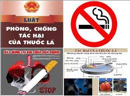 Thái Nguyên: Trung tâm Y tế Phú Lương phối hợp tổ chức tập huấn về phòng, chống tác hại của thuốc lá