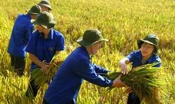 Xây dựng chính sách cho thanh niên tình nguyện