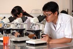 Thu hút tài năng trẻ ở nước ngoài về phát triển đất nước