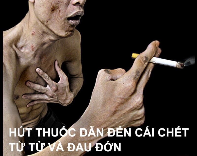 Một số thông tin về tác hại của thuốc lá